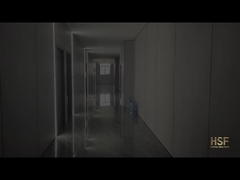 एचएसएफ के बारे में